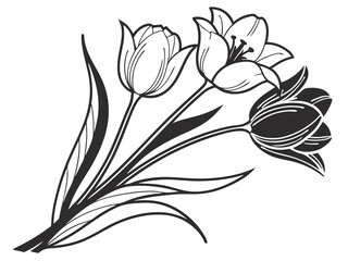 black and white tulip