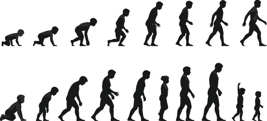 Human Evolution Silhouette from Baby to Adult, Growth Stages Concept, Primate to Modern Man, Life Progression, Science Illustration