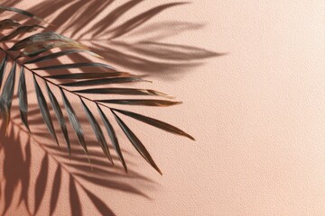 A palm frond and its shadow cast on a peach-colored backdrop, showcasing subtle textural contrast and a play of light and shadow