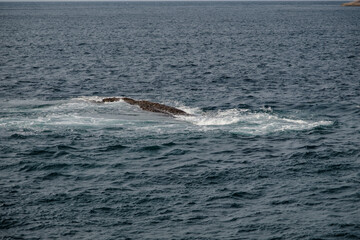 Fototapeta premium small rocks at the open sea in cloudy sky summer day with empty copy space