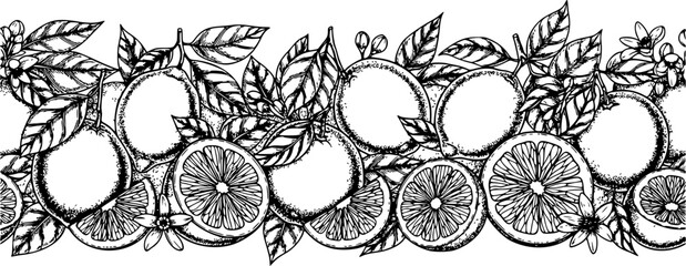 Seamless Citrus Fruit Border Design with Hand-Drawn Vector Illustrations, Healthy Food Sketches and Engraved Summer Background Pattern