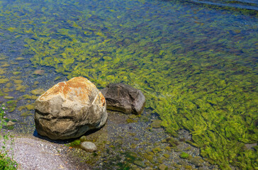 Shallow clear water with visible green algae and rocks. Two large boulders rest near the shore, contrasting with the underwater vegetation. A peaceful scene of nature’s textures and aquatic life.