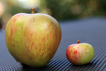 Gro&szlig;er und kleiner Apfel