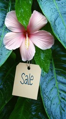 A pink flower with a tag that says "sale" on it