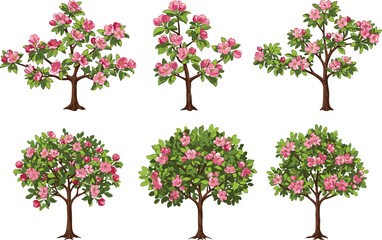 Pink flowering trees vector set with green leaves, spring blossom illustration, botanical garden design, nature landscape clipart for decoration projects