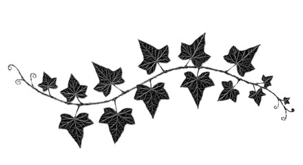 Elegant white ivy sketch artfully climbing across a dark canvas symbolizing growth and resilience through minimalistic