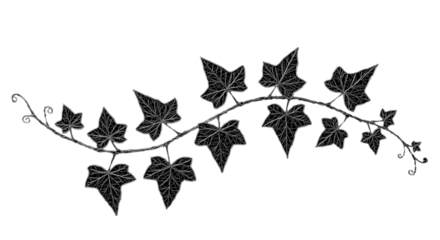 Elegant white ivy sketch artfully climbing across a dark canvas symbolizing growth and resilience through minimalistic