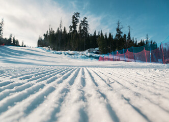 Snow-covered ski slope with freshly groomed runs and a backdrop of evergreen trees under a clear blue sky