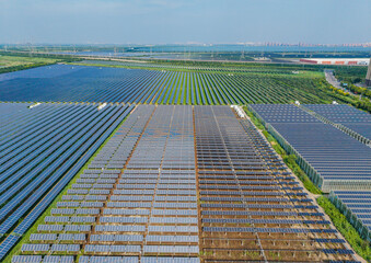 Photovoltaic solar panels in Tianjin Binhai New Area