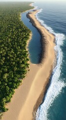 Coastal vista showing verdant forest meeting a sandy beach and blue ocean waters, taken from an aerial perspective