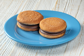Delicious close-up of freshly baked chocolate cookies on a blue plate