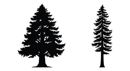 two tall pine trees standing side by side in silhouette