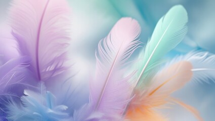 Obraz premium soft dreamy composition of pastel-colored feathers background