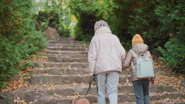 mom holds daughter hand and dog leash climbing stone steps in lush forest autumn leaves scattered gentle ascent captured from rear matching jackets and scarf serene family outdoor