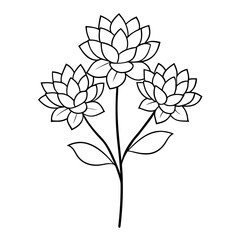 sedum spurium purpurteppich line art vector illustration on white
