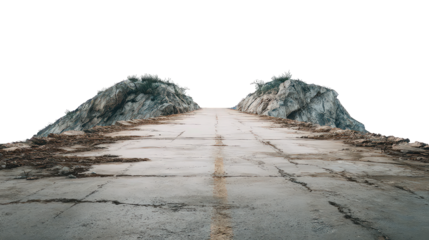 Road to Nowhere, Deserted Asphalt Path Between Overgrown Bushes