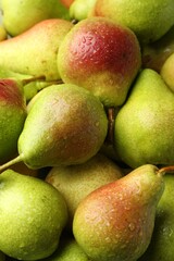 Many whole ripe pears with water drops as background, closeup