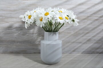 Beautiful chamomile flowers in vase on grey wooden table, closeup