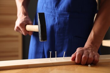 Professional repairman hammering nail into wooden plank indoors, closeup
