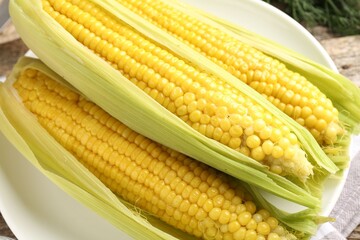 Tasty boiled corncobs on wooden table, closeup