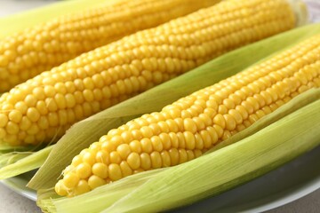 Tasty boiled corncobs on light table, closeup