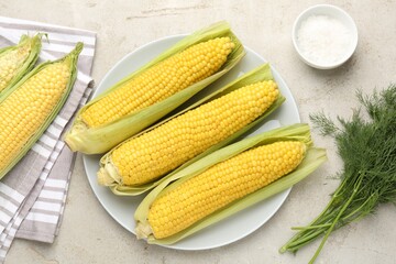 Tasty boiled corncobs, dill and salt on light table, flat lay