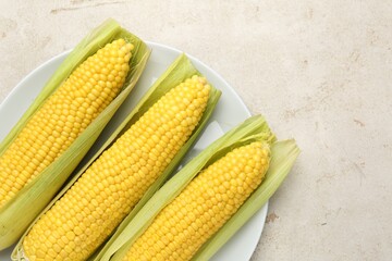 Tasty boiled corncobs on light table, top view. Space for text