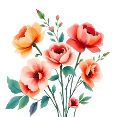 watercolor flower illustration