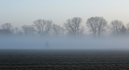 Fogobscured landscape barren field meets trees shrouded in mist under pale sky
