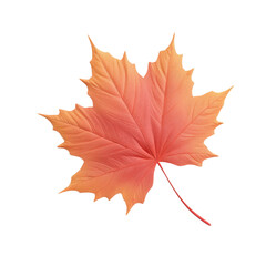 Obraz premium Orange maple leaf symbolizes seasonal change with vibrant hues