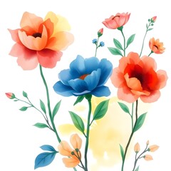 watercolor flower illustration