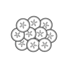 Hand drawn illustration of sliced cucumber rings with star shaped seeds