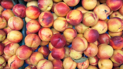 Close-up image of ripe peaches or nectarines in shades of red and yellow. Fresh, organic, and healthy flavor.