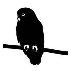 Black owl silhouette perched on a branch isolated on white background