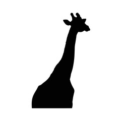 Giraffe silhouette profile isolated on white background