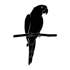 Black parrot silhouette perched on a branch isolated on white background