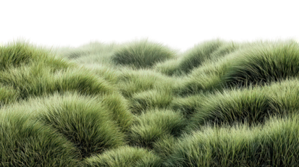 Textured Green Moss Landscape