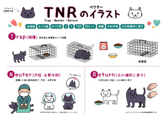 TNR（さくら耳）猫