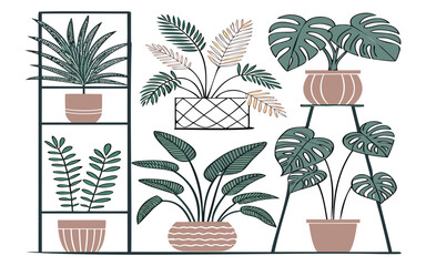 Collection of potted plants arranged on shelves against a white backdrop on white background