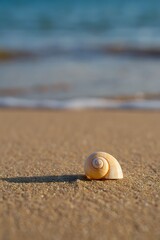 Seashell Serenity: Close-up of a solitary, spiraling seashell rests on a golden, sandy beach, gentle waves caressing the shore in the distance, evoking a sense of calm.