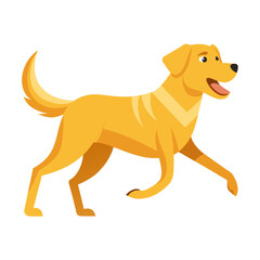 vector illustration of labrador retriever, running, flat design