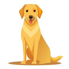 vector illustration of labrador retriever, sitting, flat design