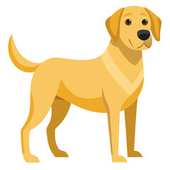 vector illustration of labrador retriever, fetching, flat design