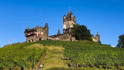 Wine region of the Mosel Valley. Wine tourism Cochem, Rhineland-Palatinate, Germany August 2, 2025