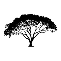 Fototapeta premium Elegant silhouette of a sprawling tree with lush foliage perfect for nature designs
