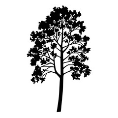 Fototapeta premium Elegant black tree silhouette a symbol of nature's enduring beauty and growth
