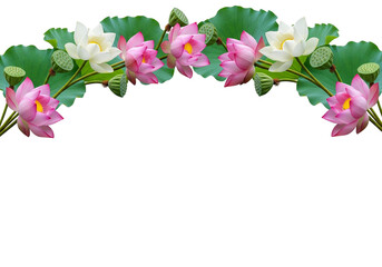 Fototapeta premium Lotus Flower Arch with Elegant White Background