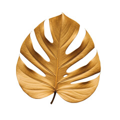 Golden Monstera Leaf with Decorative Splits