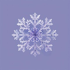 Snowflake blackboard outdoors nature.