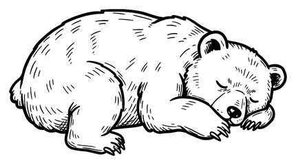 Obraz premium Cute Sleeping Bear Curled Up in Peaceful Slumber Black and White Outline Line Art Drawing